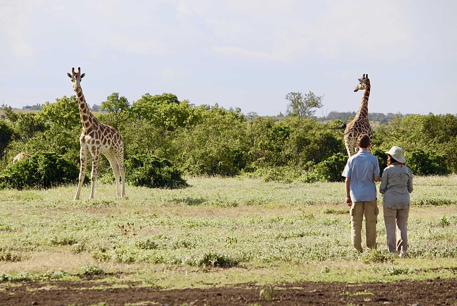 2018 Advisor Contest