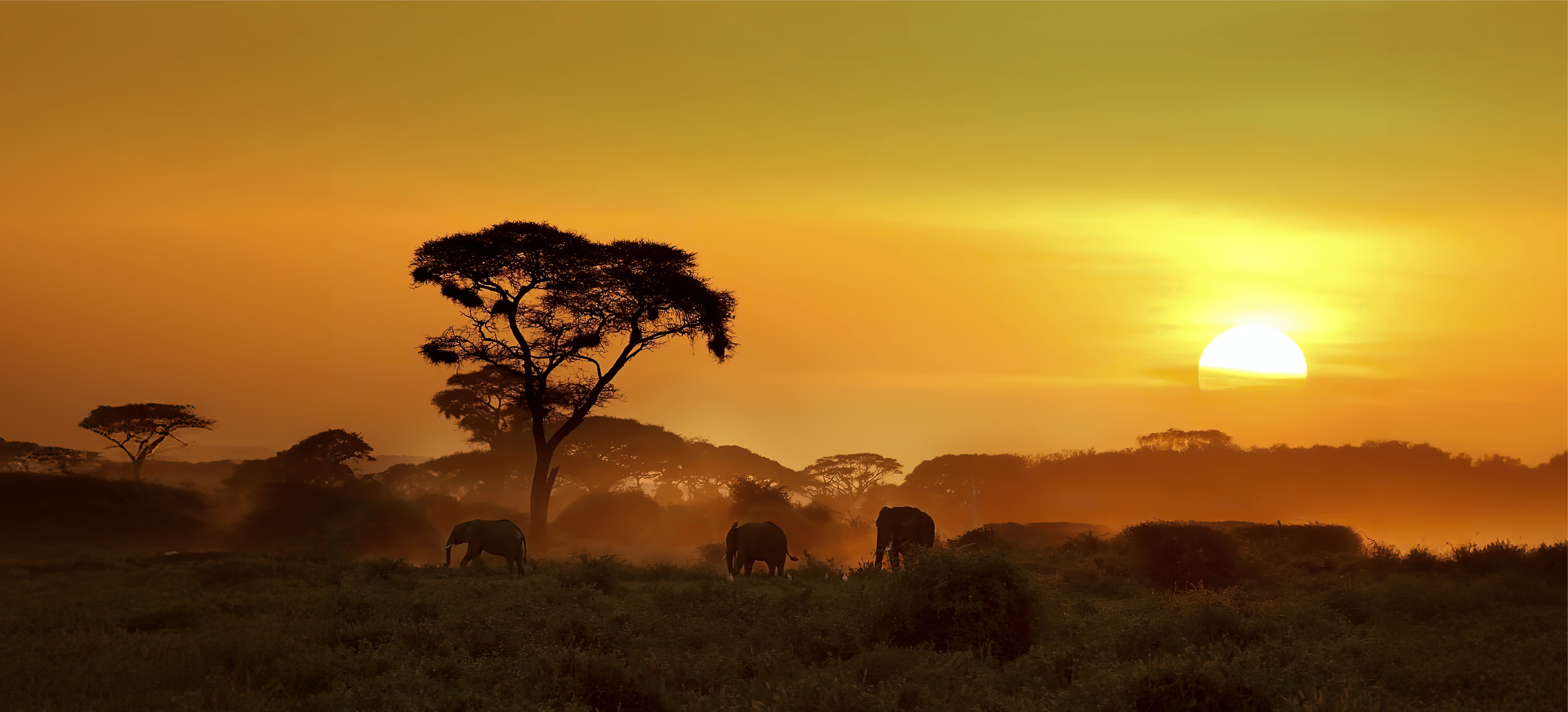 Kişiye Özel Seyahatler